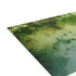 Summer Day by the Lake - Fine Art Greeting Cards